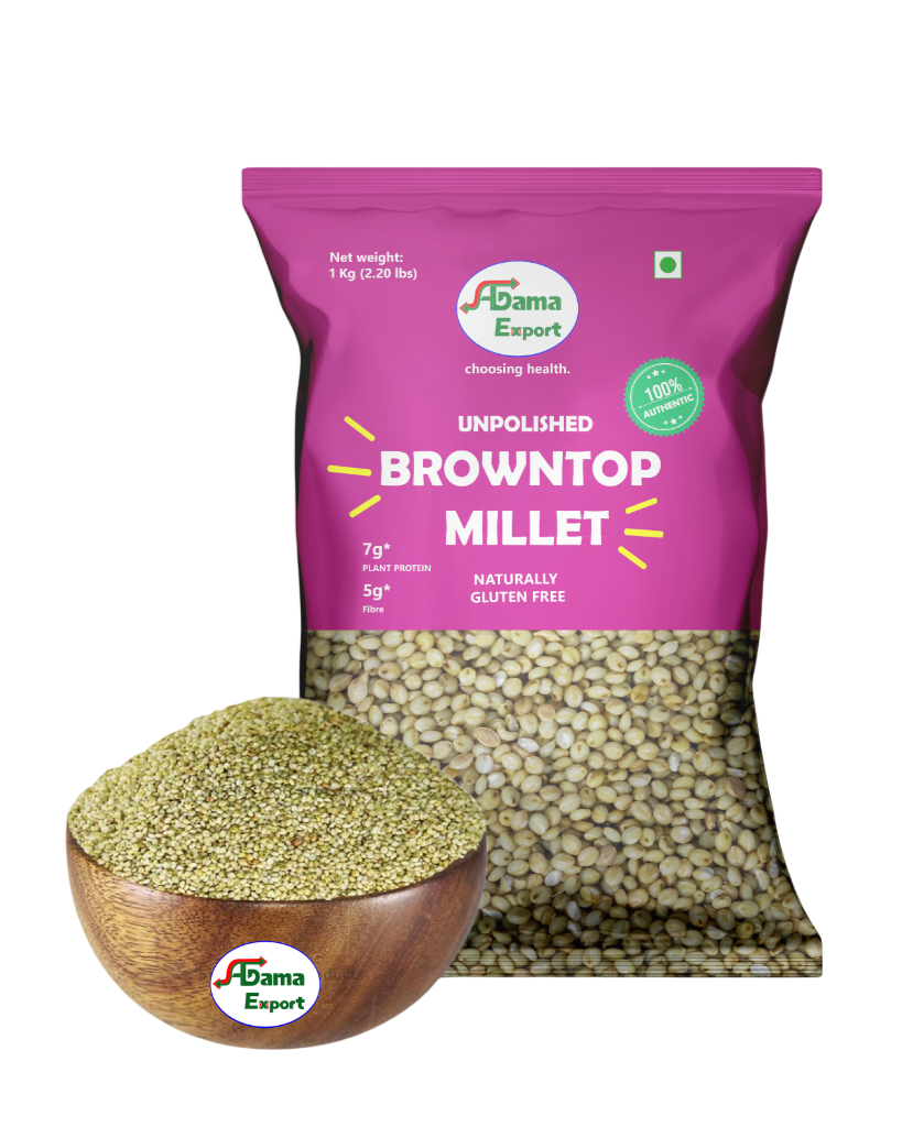 Unpolished Browntop Millet Gluten-Free High Protein and Fiber Aagama Export