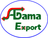 Aagama Export Logo Official Brand Identity